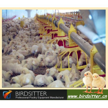 hot sale uae modern automatic farm broiler chicken feed